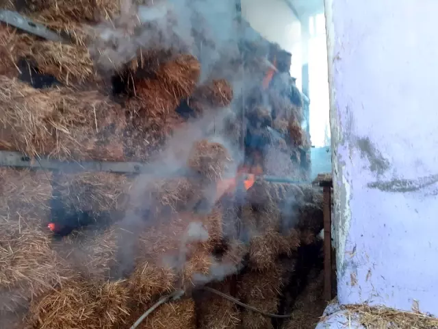 Hayvan çiftliğinde yangın Hayvan çiftliğinde yangın
