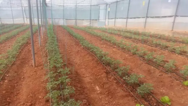 İl Müdürü Şahinbaş'tan Sarıveliler ve Başyayla İlçelerine Ziyaret İl Müdürü Şahinbaş'tan Sarıveliler ve Başyayla İlçelerine Ziyaret