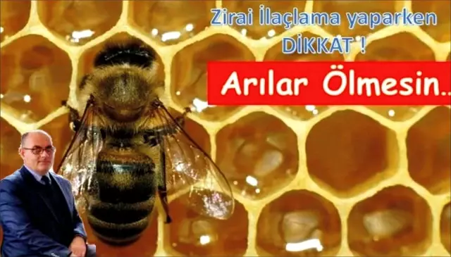 İlaçlamaya 'arı' ayarı İlaçlamaya 'arı' ayarı