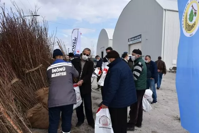 İnönü'de ücretsiz dağıtılan fidanlar nefes olacak İnönü'de ücretsiz dağıtılan fidanlar nefes olacak