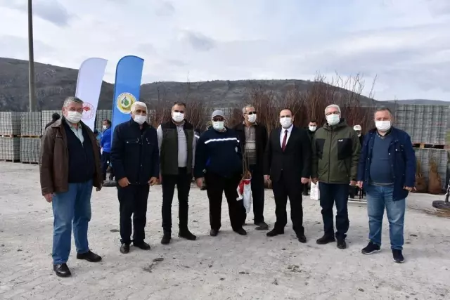 İnönü'de ücretsiz dağıtılan fidanlar nefes olacak İnönü'de ücretsiz dağıtılan fidanlar nefes olacak