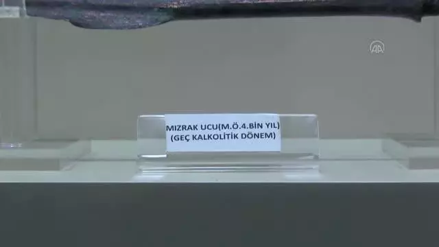 İpekyolu Müzesi'nde sergilenen özel eserler dikkati çekiyor İpekyolu Müzesi'nde sergilenen özel eserler dikkati çekiyor