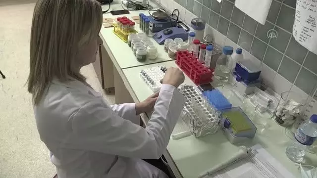 Iza buğdayı çimindeki B ve E vitamininin diğerlerine göre çok daha zengin olduğu tespit edildi Iza buğdayı çimindeki B ve E vitamininin diğerlerine göre çok daha zengin olduğu tespit edildi