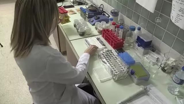 Iza buğdayı çimindeki B ve E vitamininin diğerlerine göre çok daha zengin olduğu tespit edildi Iza buğdayı çimindeki B ve E vitamininin diğerlerine göre çok daha zengin olduğu tespit edildi