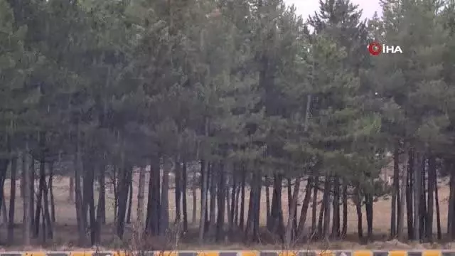 Karabük'te Nisan ayında kar yağışı Karabük'te Nisan ayında kar yağışı