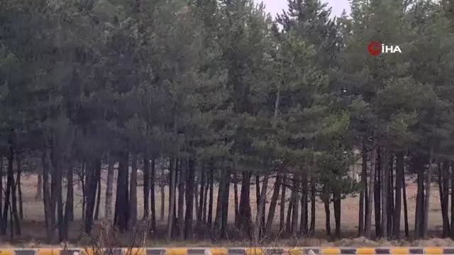 Karabük'te Nisan ayında kar yağışı Karabük'te Nisan ayında kar yağışı