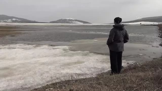 Karların erimeye başladığı Kars'ta doğa yaban hayatıyla renkleniyor Karların erimeye başladığı Kars'ta doğa yaban hayatıyla renkleniyor