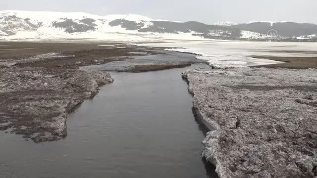 Karların erimeye başladığı Kars'ta doğa yaban hayatıyla renkleniyor Karların erimeye başladığı Kars'ta doğa yaban hayatıyla renkleniyor
