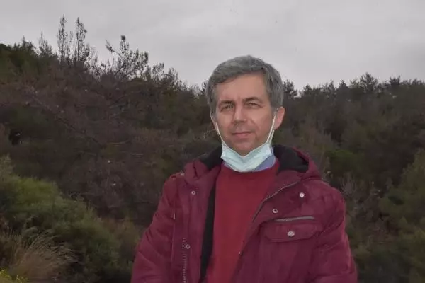 Kızılçam ormanları çam kese böcekleri tehdidi altında Kızılçam ormanları çam kese böcekleri tehdidi altında