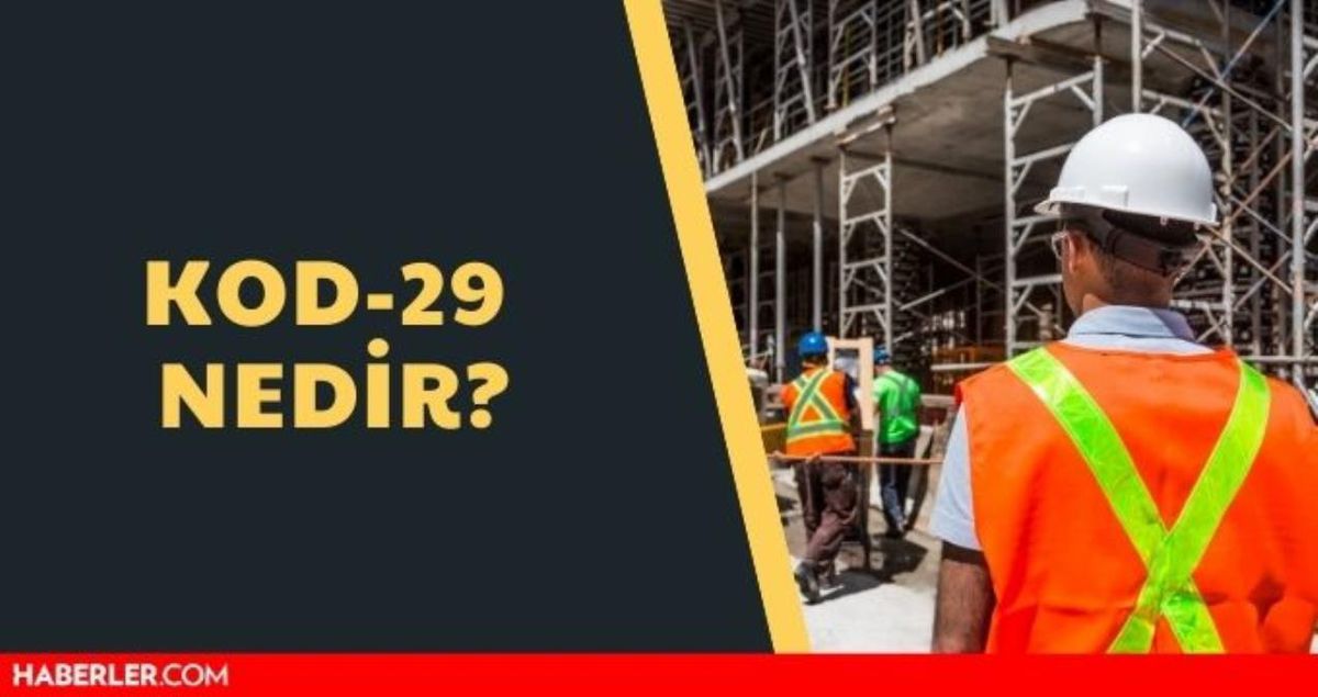 Kod-29 nedir? SGK Kod-29 işten çıkarma düzenlemesi nedir? Kod 29 maddeleri nedir?