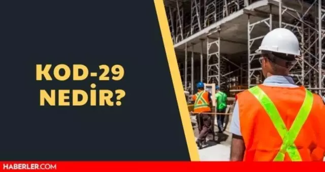 Kod-29 nedir? SGK Kod-29 işten çıkarma düzenlemesi nedir? Kod 29 maddeleri nedir? Kod-29 nedir? SGK Kod-29 işten çıkarma düzenlemesi nedir? Kod 29 maddeleri nedir?