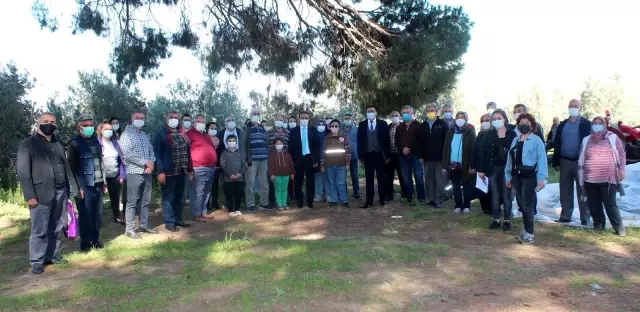 Kursiyerler uygulamalı olarak zeytin budadı Kursiyerler uygulamalı olarak zeytin budadı