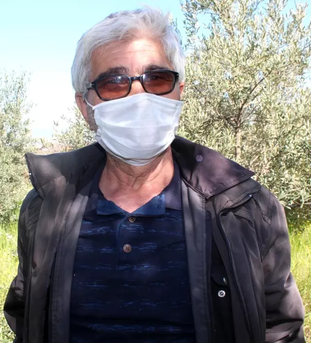 Kursiyerler uygulamalı olarak zeytin budadı Kursiyerler uygulamalı olarak zeytin budadı