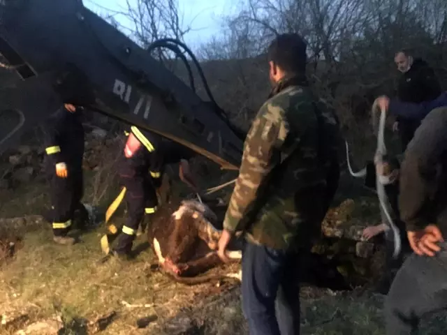 Kuyuya düşen ineği itfaiye ekipleri kurtarıldı Kuyuya düşen ineği itfaiye ekipleri kurtarıldı