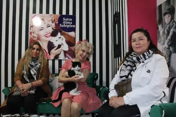Son dakika haberi... MARDİNLİ MARİLYN MONROE, KEDİ SIĞINMA EVİ KURDU Son dakika haberi... MARDİNLİ MARİLYN MONROE, KEDİ SIĞINMA EVİ KURDU