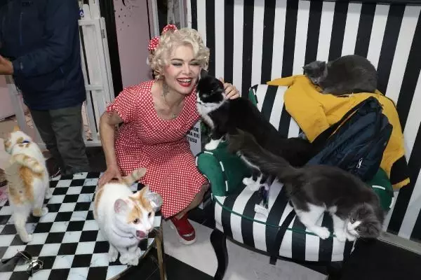 Son dakika haberi... MARDİNLİ MARİLYN MONROE, KEDİ SIĞINMA EVİ KURDU Son dakika haberi... MARDİNLİ MARİLYN MONROE, KEDİ SIĞINMA EVİ KURDU