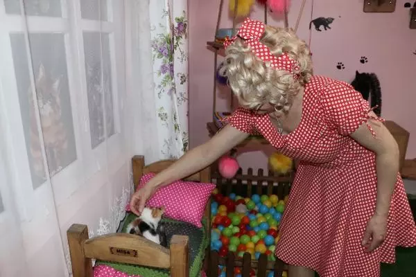Son dakika haberi... MARDİNLİ MARİLYN MONROE, KEDİ SIĞINMA EVİ KURDU Son dakika haberi... MARDİNLİ MARİLYN MONROE, KEDİ SIĞINMA EVİ KURDU