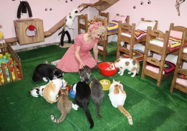 Son dakika haberi... MARDİNLİ MARİLYN MONROE, KEDİ SIĞINMA EVİ KURDU Son dakika haberi... MARDİNLİ MARİLYN MONROE, KEDİ SIĞINMA EVİ KURDU