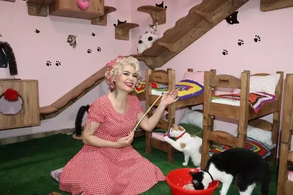 Son dakika haberi... MARDİNLİ MARİLYN MONROE, KEDİ SIĞINMA EVİ KURDU Son dakika haberi... MARDİNLİ MARİLYN MONROE, KEDİ SIĞINMA EVİ KURDU