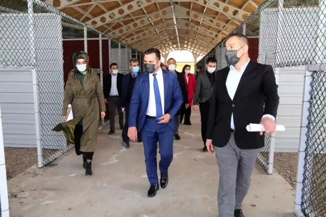 Modern Kangal merkezinde sona yaklaşıldı Modern Kangal merkezinde sona yaklaşıldı