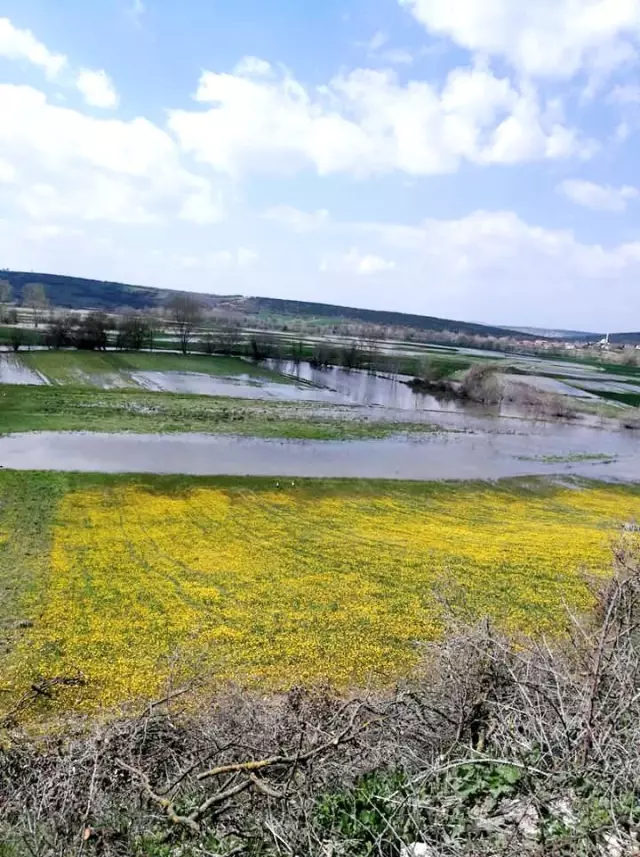 Mudanya'da tarım arazileri sular altında kaldı Mudanya'da tarım arazileri sular altında kaldı