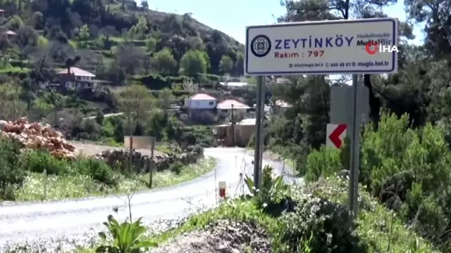 Son dakika haberleri... Muğla'da cinayet: Baba ve oğlu kavgalı olduğu komşusu tarafından öldürüldü (1) Son dakika haberleri... Muğla'da cinayet: Baba ve oğlu kavgalı olduğu komşusu tarafından öldürüldü (1)