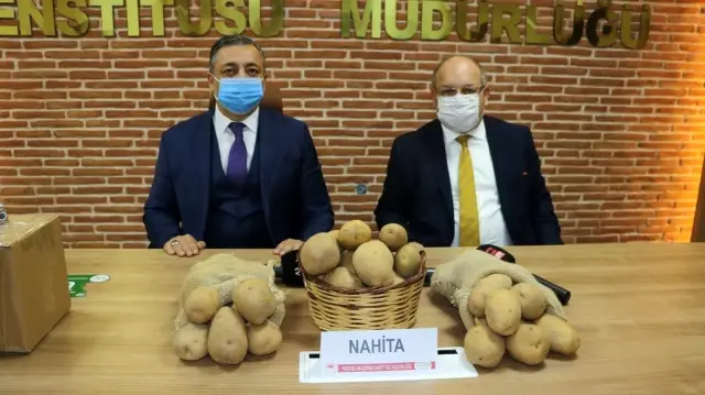 Niğde'de geliştirilen yerli patates tohumu Avrupa yolunda Niğde'de geliştirilen yerli patates tohumu Avrupa yolunda