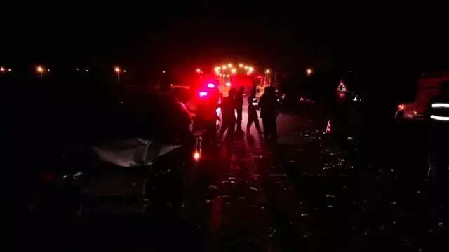 Otomobil sürüye daldı, 29 hayvan telef oldu Otomobil sürüye daldı, 29 hayvan telef oldu