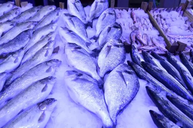 Ramazan arifesi balık fiyatları düştü Ramazan arifesi balık fiyatları düştü