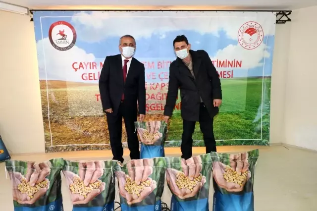 Samsun'da süt sığırcılığı geliştirilecek Samsun'da süt sığırcılığı geliştirilecek