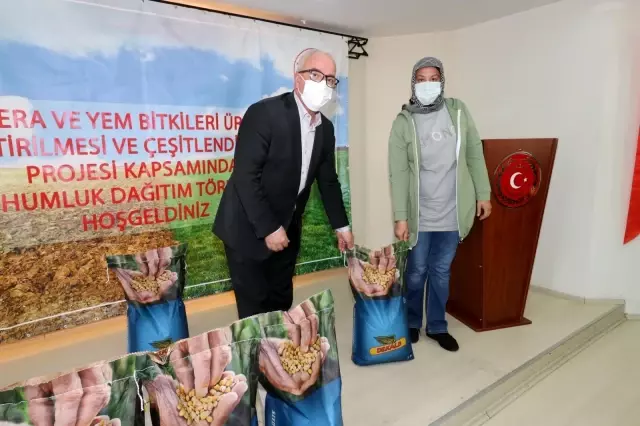Samsun'da süt sığırcılığı geliştirilecek Samsun'da süt sığırcılığı geliştirilecek