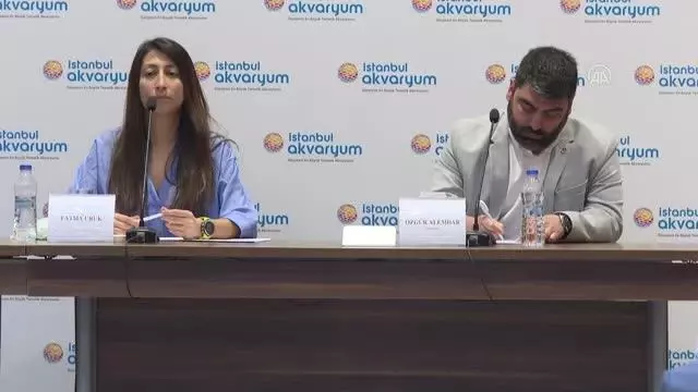 Serbest dalışçı Fatma Uruk, yeni hedeflerini Türkiye'de gerçekleştirme peşinde Serbest dalışçı Fatma Uruk, yeni hedeflerini Türkiye'de gerçekleştirme peşinde