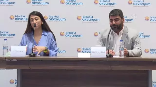 Serbest dalışçı Fatma Uruk, yeni hedeflerini Türkiye'de gerçekleştirme peşinde Serbest dalışçı Fatma Uruk, yeni hedeflerini Türkiye'de gerçekleştirme peşinde
