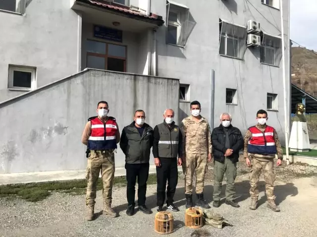 Siirt'te kaçak avcılık yaptığı tespit edilen şahıs hakkında tutanak tutuldu Siirt'te kaçak avcılık yaptığı tespit edilen şahıs hakkında tutanak tutuldu