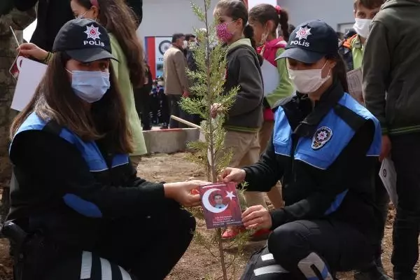 ŞIRNAK'TA ŞEHİT 136 POLİSİN ANISINA FİDAN DİKİLDİ ŞIRNAK'TA ŞEHİT 136 POLİSİN ANISINA FİDAN DİKİLDİ