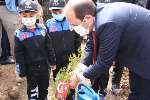 ŞIRNAK'TA ŞEHİT 136 POLİSİN ANISINA FİDAN DİKİLDİ ŞIRNAK'TA ŞEHİT 136 POLİSİN ANISINA FİDAN DİKİLDİ