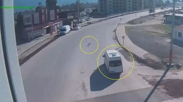 Köpeğe çarpıp kaçan minibüsün sürücüsü KGYS kamerası kayıtlarından bulundu Köpeğe çarpıp kaçan minibüsün sürücüsü KGYS kamerası kayıtlarından bulundu