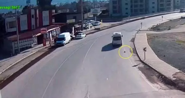 Köpeğe çarpıp kaçan minibüsün sürücüsü KGYS kamerası kayıtlarından bulundu Köpeğe çarpıp kaçan minibüsün sürücüsü KGYS kamerası kayıtlarından bulundu