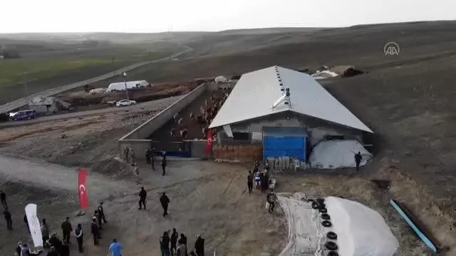 Suni tohumlamayla hayvan varlığı ve kalitesi artırılacak Suni tohumlamayla hayvan varlığı ve kalitesi artırılacak
