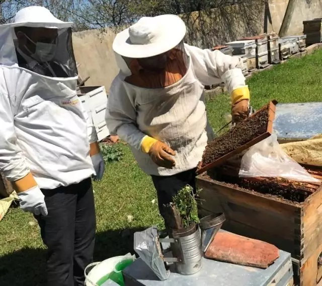 Tekirdağ'da arı kovanları bakımdan geçiyor Tekirdağ'da arı kovanları bakımdan geçiyor