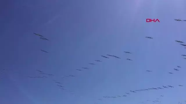 TEKİRDAĞ SEMALARINDAKİ PELİKANLARDAN GÖRSEL ŞÖLEN TEKİRDAĞ SEMALARINDAKİ PELİKANLARDAN GÖRSEL ŞÖLEN