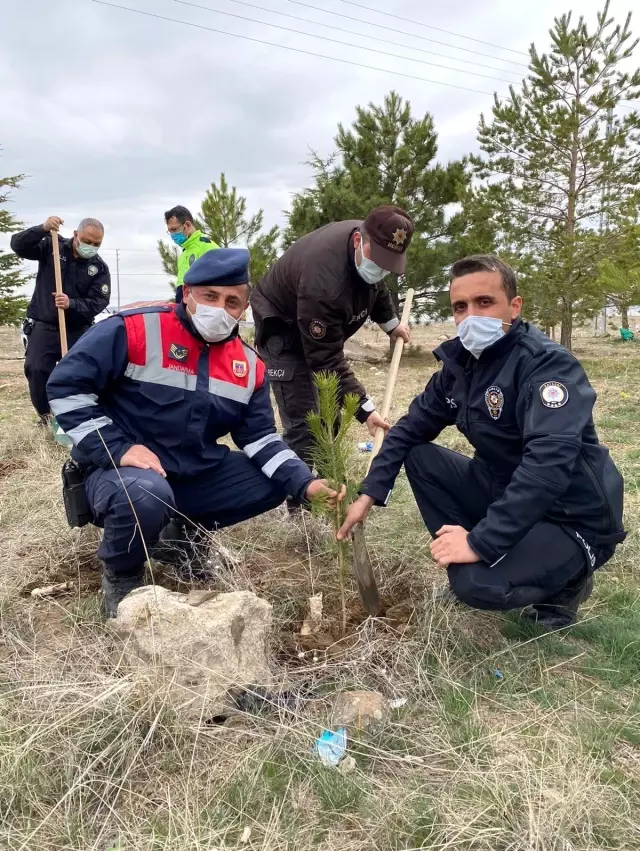 Tomarza'da Türk Polis Teşkilatının 176. yıl dönümünde 176 fidan toprakla buluşturuldu Tomarza'da Türk Polis Teşkilatının 176. yıl dönümünde 176 fidan toprakla buluşturuldu