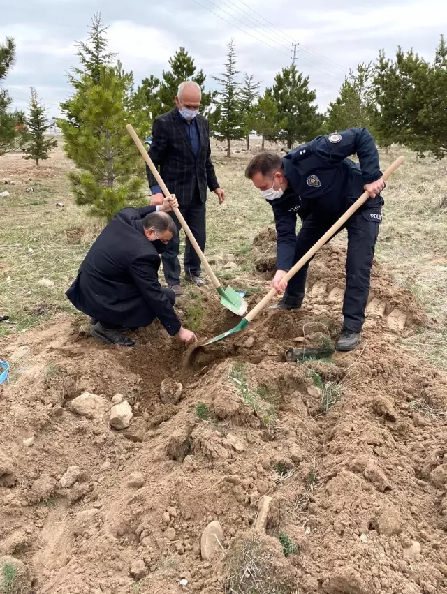 Tomarza'da Türk Polis Teşkilatının 176. yıl dönümünde 176 fidan toprakla buluşturuldu Tomarza'da Türk Polis Teşkilatının 176. yıl dönümünde 176 fidan toprakla buluşturuldu