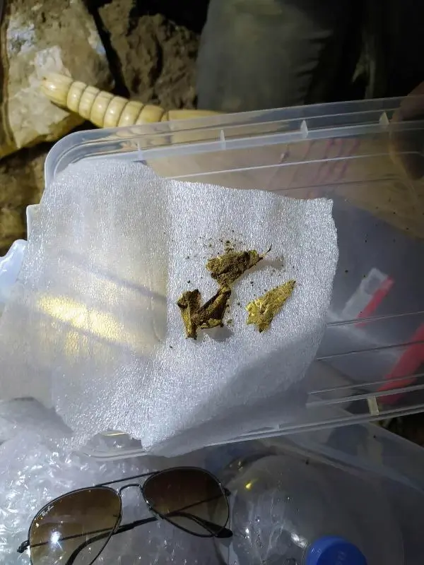 Traktörünün pulluğuna taş takıldı, lahit mezar ortaya çıktı Traktörünün pulluğuna taş takıldı, lahit mezar ortaya çıktı
