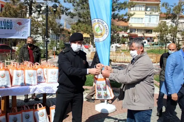 Ücretsiz 3 bin fidan dağıtıldı Ücretsiz 3 bin fidan dağıtıldı