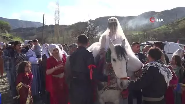 Unutulmaya yüz tutan geleneği yaşatılıyor...Gelini ata bindirip damat evine götürdüler Unutulmaya yüz tutan geleneği yaşatılıyor...Gelini ata bindirip damat evine götürdüler