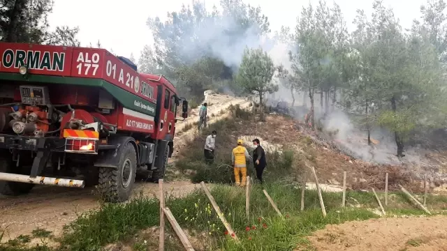Yaşlı adam, çıkardığı orman yangınını çalıyla söndürmeye çalıştı Yaşlı adam, çıkardığı orman yangınını çalıyla söndürmeye çalıştı