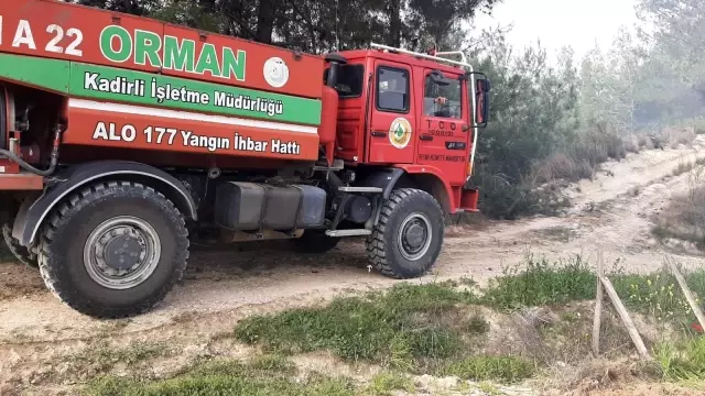 Yaşlı adam, çıkardığı orman yangınını çalıyla söndürmeye çalıştı Yaşlı adam, çıkardığı orman yangınını çalıyla söndürmeye çalıştı