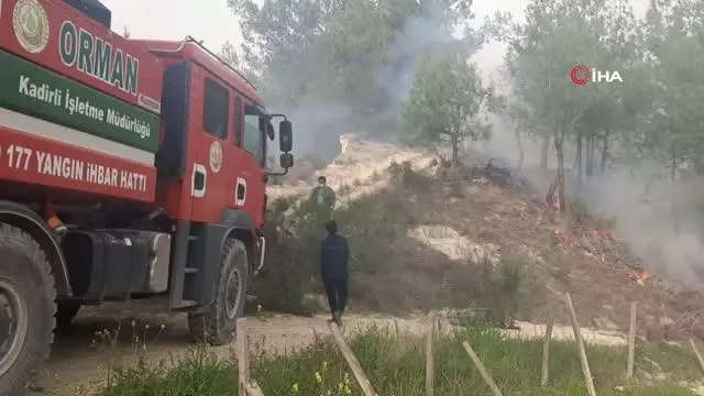 Yaşlı adam, çıkardığı orman yangınını çalıyla söndürmeye çalıştı Yaşlı adam, çıkardığı orman yangınını çalıyla söndürmeye çalıştı
