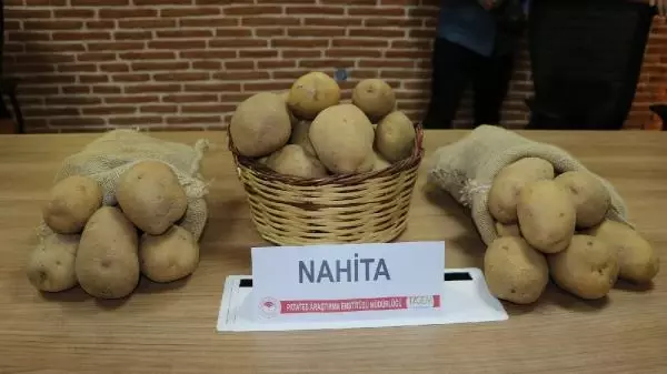 Yerli ve milli patates Avrupa yolunda Yerli ve milli patates Avrupa yolunda